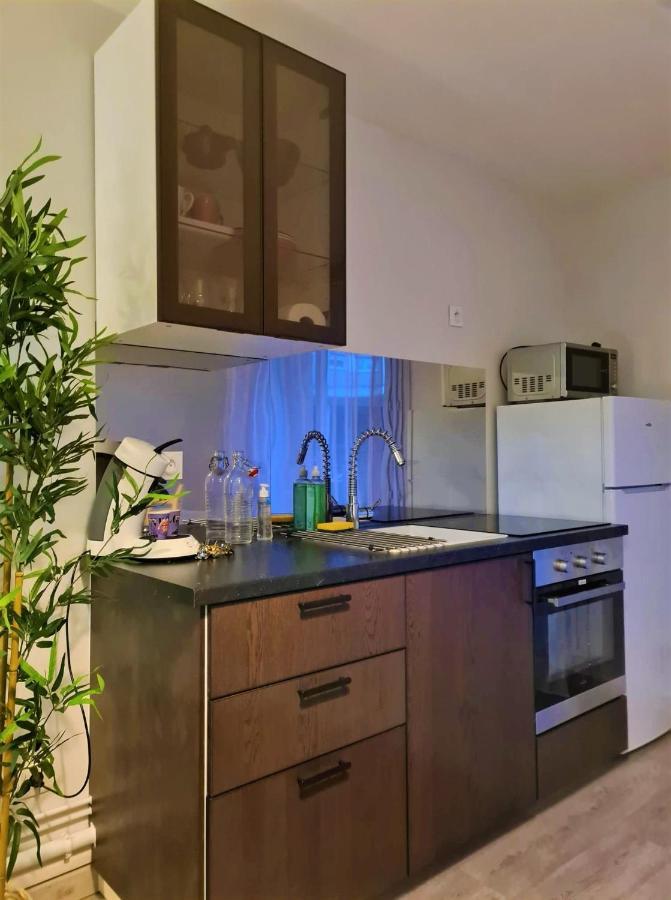 Grand Studio Lyon Villeurbanne Proche Metro - Wifi מראה חיצוני תמונה