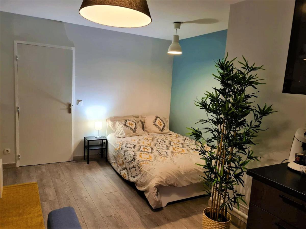 Grand Studio Lyon Villeurbanne Proche Metro - Wifi מראה חיצוני תמונה